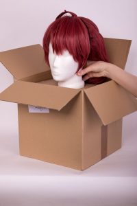 put the wig head in the box